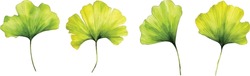 Ginkgo biloba leaves, a separate branch on a white background. Handmade, For illustration, background, decor, design, scrapbooking, fabric, texture, Wallpaper.
