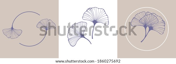 Ginkgo biloba leaves. Set of ginkgo\
leaf by hand drawing on white backgrounds.\
Elements for logo\
design. Vector illustration in a minimal linear\
style.