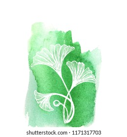 Ginkgo biloba leaves sketch isolated on green watercolor background. Vector highly detailed botany illustration. Background in vintage style for wading invitations, post cards, wallpaper.