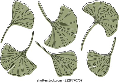 Ginkgo biloba leaves sketch vector illustration minimalist style