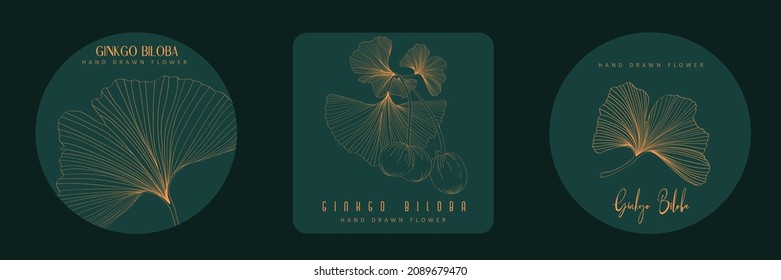 Ginkgo biloba leaves spa design. Set of golden ginkgo leaf by hand drawing on black backgrounds. Elements for logo. Illustration in a minimal linear style.