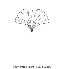 Ginkgo biloba leaves vector hand drawn contour line vector illustration floral art trendy minimalist style.