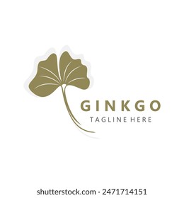 Ginkgo biloba logo nature. Healthy leaf organic used in medicine for disease treatment with line art style design