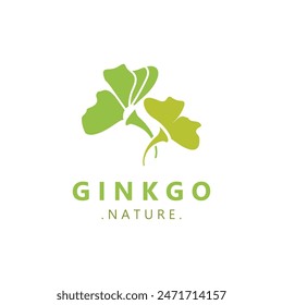 Ginkgo biloba logo nature. Healthy leaf organic used in medicine for disease treatment with line art style design