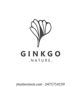 Ginkgo biloba logo nature. Healthy leaf organic used in medicine for disease treatment with line art style design