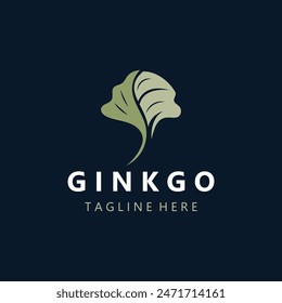 Ginkgo biloba logo nature. Healthy leaf organic used in medicine for disease treatment with line art style design