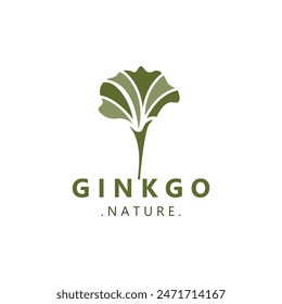 Ginkgo biloba logo nature. Healthy leaf organic used in medicine for disease treatment with line art style design