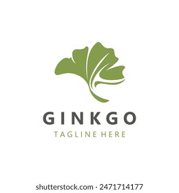 Ginkgo biloba logo nature. Healthy leaf organic used in medicine for disease treatment with line art style design