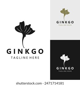 Ginkgo biloba logo nature. Healthy leaf organic used in medicine for disease treatment with line art style design