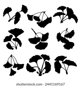 Ginkgo biloba medicine plant silhouette stencil templates