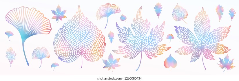 Ginkgo biloba, roble, linden, conjunto de hojas de castaño.  Objetos aislados de color vectorial y de silueta. Ilustración de moda vibrante con gradiente holográfico multicolor botánico