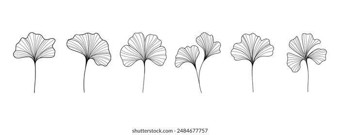 Ginkgo biloba outline sketch. Abstract botanical ginkgo tree leaf silhouettes, elegant vintage floral chinese plant elements for logo design. Vector isolated set