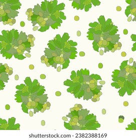 Ginkgo biloba, plant and fruits, green leaves on white background, vector pattern