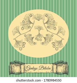 Ginkgo Biloba Plant, Leaf, Branch, Berry and Ribbon on Yellow Substrate. Striped Background in Vintage style. Hand Drawn Vector Sketch llustration. Retro Styled Card for Products with Ginkgo Biloba.