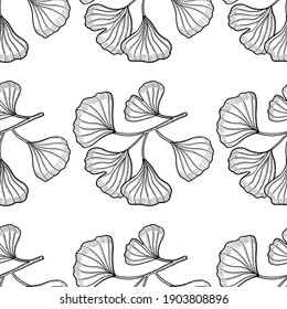 Ginkgo Biloba plant, leaf, branch, berry. Isolated, medicinal plant. Hand drawn sketch illustration. Ingredient for hair and body care cream, lotion, treatment. Black and white seamless pattern