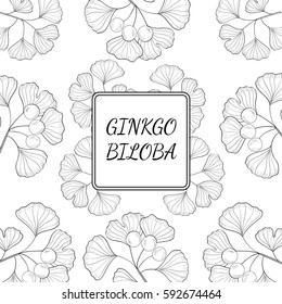 Ginkgo Biloba plant, leaf, branch, berry. Background, medicinal plant. Hand drawn sketch illustration. Ingredient for hair and body care cream, lotion, treatment.