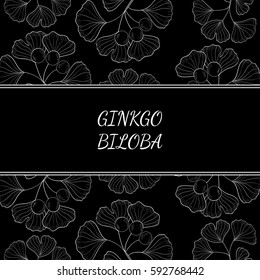 Ginkgo Biloba plant, leaf, branch, berry. Background, medicinal plant. Hand drawn sketch illustration. Ingredient for hair and body care cream, lotion, treatment.