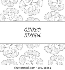 Ginkgo Biloba plant, leaf, branch, berry. Background, medicinal plant. Hand drawn sketch illustration. Ingredient for hair and body care cream, lotion, treatment.