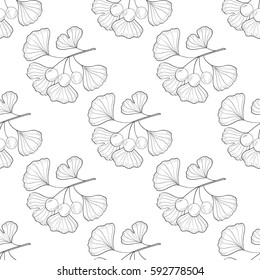 Ginkgo Biloba plant, leaf, branch, berry. Seamless pattern, medicinal plant. Hand drawn sketch illustration. Ingredient for hair and body care cream, lotion, treatment.