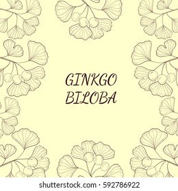 Ginkgo Biloba plant, leaf, branch, berry. Background, medicinal plant. Hand drawn sketch illustration. Ingredient for hair and body care cream, lotion, treatment.