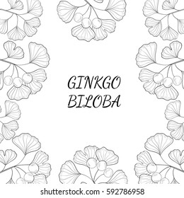 Ginkgo Biloba plant, leaf, branch, berry. Background, medicinal plant. Hand drawn sketch illustration. Ingredient for hair and body care cream, lotion, treatment.