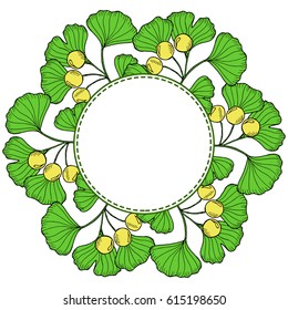 Ginkgo Biloba plant, leaf, branch, berry. Round frame. Isolated on white, medicinal plant. Hand drawn sketch illustration in color. Ingredient for hair and body care cream, lotion, treatment. 