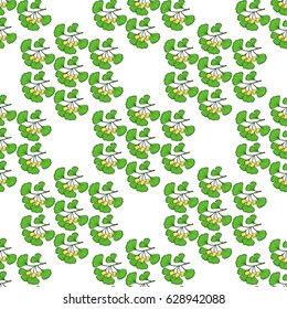Ginkgo Biloba plant, leaf, branch, berry. Seamless pattern, medicinal plant. Hand drawn sketch illustration in color. 