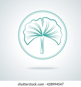 Ginkgo biloba plant. Monochrome outline vector illustration on white background. IIsolated, logo, label and badge in thin line design.
