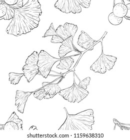 Ginkgo biloba plant seamless pattern brunch leaves hand drawn line vector health