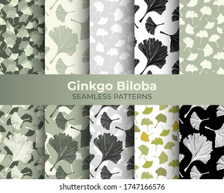 Ginkgo Biloba Seamless Pattern Collection. Vector Botanical Plant for Fabric Textile Design and Interior Wallpapers. Pale Sage on Ivory Background