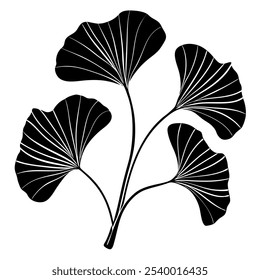 Ginkgo biloba conjunto isolado no fundo branco. Folhas desenhadas à mão. Vetor preto e branco ilustração botânica no fundo branco