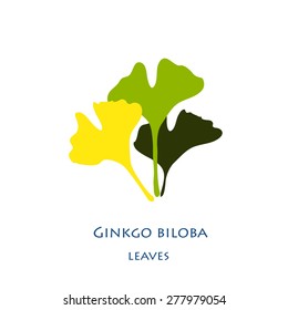 Ginkgo biloba stylizes form.  Silhouette of green  leaves