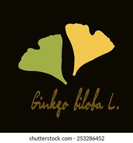 Ginkgo biloba stylizes leaves.  Silhouette of ginkgo leaves