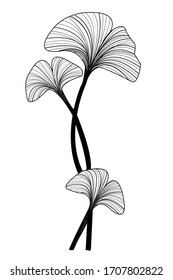 Ginkgo biloba trail floral vector motif....botanical illustration...Maidenhair