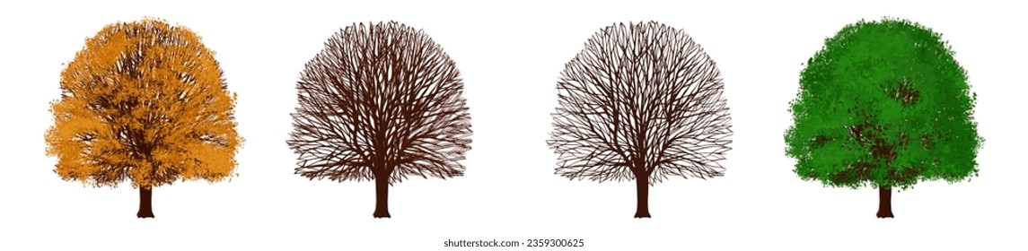 Ginkgo Biloba tree blooming, autumn, winter vector color illustration