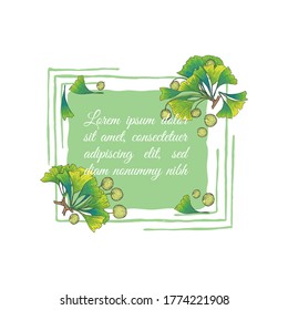 Ginkgo Biloba Tree Branch Parts Decorating Handdrawn Square Frame with Substrate. Hand drawn engraved vector sketch etch illustration. Vector Illustrator for Product Labels, Packages etc.