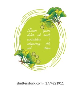 Ginkgo Biloba Tree Branch Parts Decorating Handdrawn Round Frame with Substrate. Hand drawn engraved vector sketch etch illustration. Vector Illustrator for Product Labels, Packages etc.