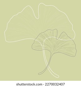 Ginkgo Biloba, two delicate plant twig, outline isolated vector illustration.