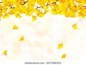 ginkgo branch fallen leaves background autumn