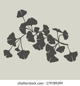 	ginkgo branches sketch