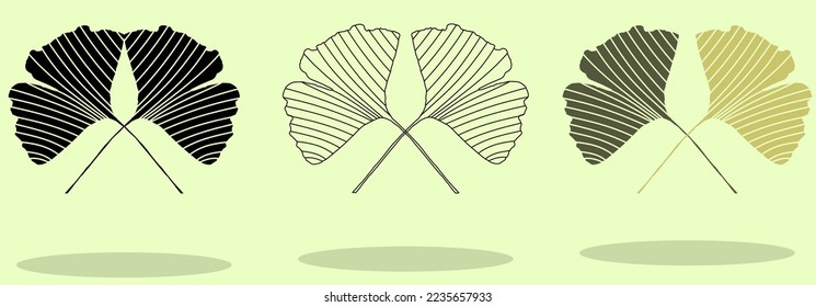 Ginkgo flat line icon. Chinese medicinal plant vector illustration. Ginkgo biloba leaves .