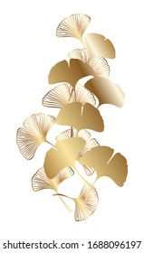 Ginkgo or Gingko Biloba golden branch with leaves. Nature botanical gold vector illustration, decorative metal graphic isolated over white.