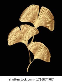 Ginkgo or Gingko Biloba golden branch with leaves. Nature botanical gold vector illustration, decorative metal graphic isolated over black.