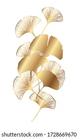 Ginkgo or Gingko Biloba golden branch with leaves. Nature botanical gold vector illustration, decorative metal graphic isolated over white.