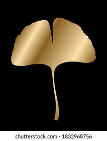 Ginkgo or Gingko Biloba golden leaf. Nature botanical gold vector illustration, decorative metal graphic isolated over black.