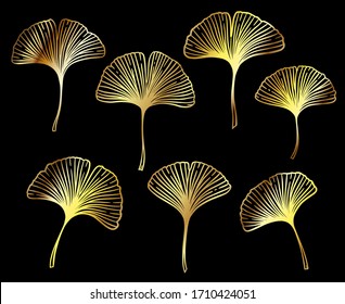 Ginkgo or Gingko Biloba golden leaves set. Nature botanical gold vector illustration, decorative metal graphic isolated over black.