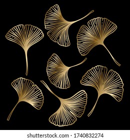 Ginkgo oder Gingko Biloba goldene Blätter gesetzt. Natur botanische Gold Vektor Illustration, dekorative Metall-Grafik isoliert über schwarz.