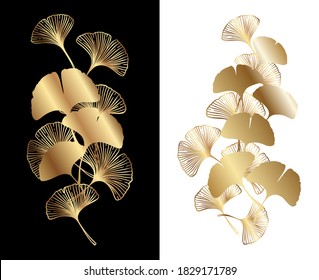 Ginkgo or Gingko Biloba golden leaves decoration set. Nature botanical gold vector illustration, decorative metal graphic isolated over white and black.