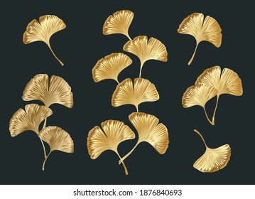 Ginkgo oder Gingko Biloba goldene Blätter Set. Natur botanische goldene Vektorgrafik, dekorative Metallgrafik einzeln auf Schwarz.