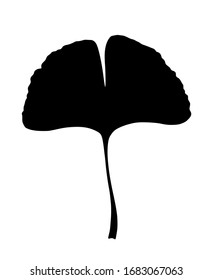 Ginkgo or Gingko Biloba leaf. Nature botanical vector silhouette illustration, herbal medicine graphic in black isolated over white.